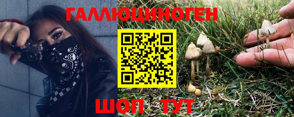 Псилоцибиновые грибы мухоморы  Галлюциногенные грибы Psilocybe  Вход с VPN  Муром 