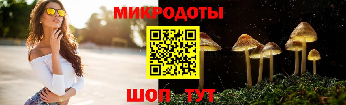 Псилоцибиновые грибы мицелий Муром