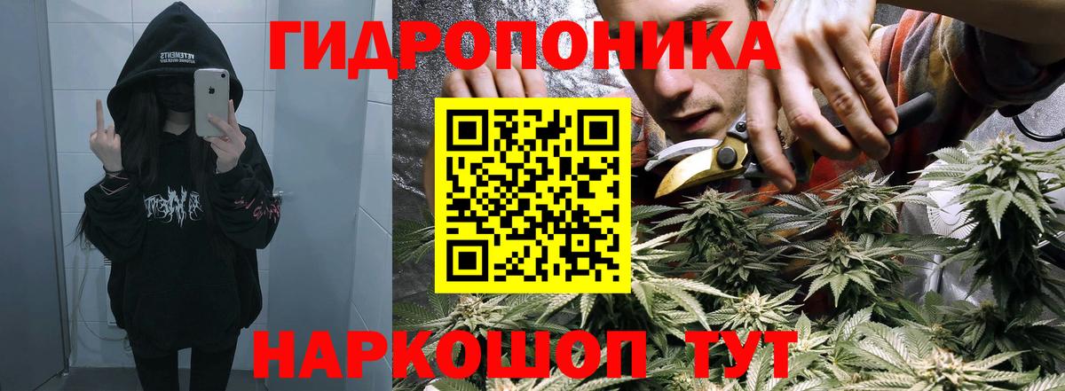 Муром  Бошки марихуана тримм  Каннабис Ganja  Вход с VPN  Марихуана Bruce Banner  Марихуана Ganja 